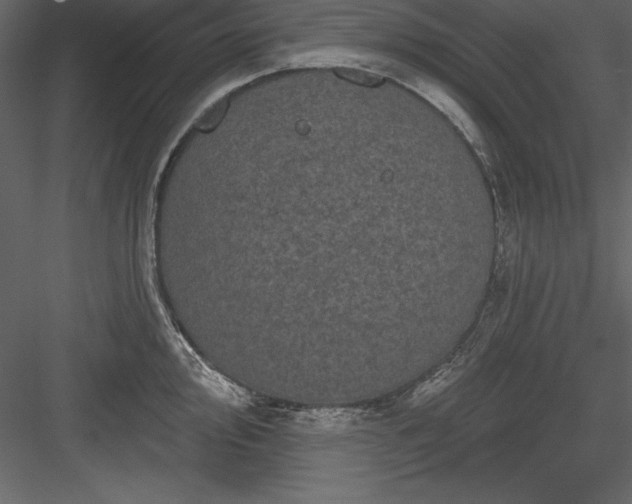 X0000083991000200702232106