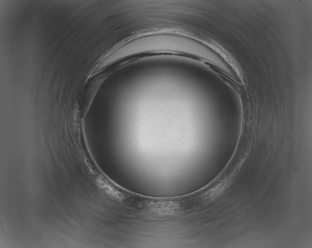 X0000083991001200702232106