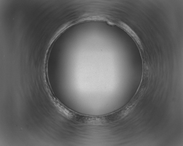 X0000083991002200702232106