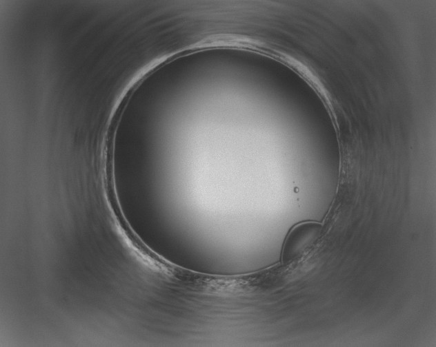 X0000083991003200702232106