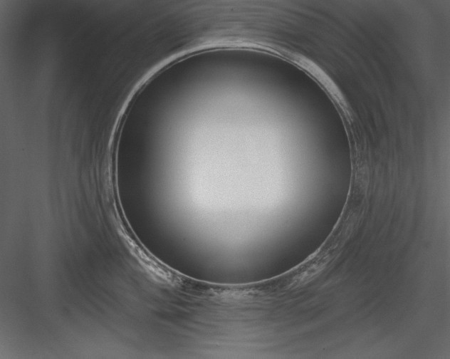 X0000083991004200702232106