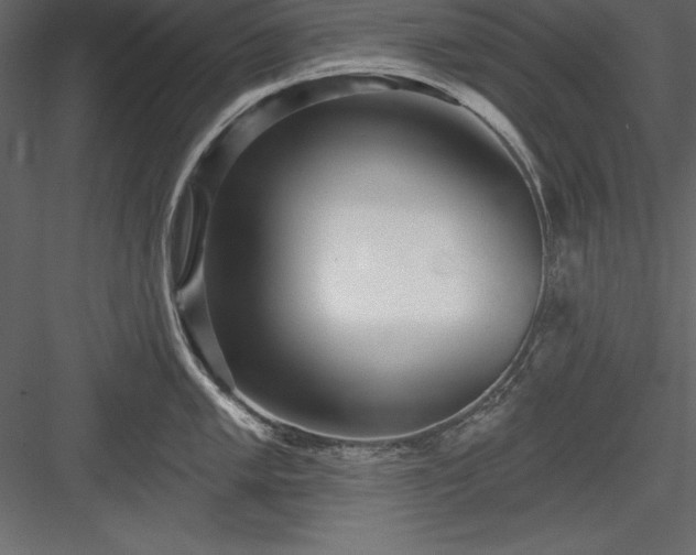 X0000083991005200702232106