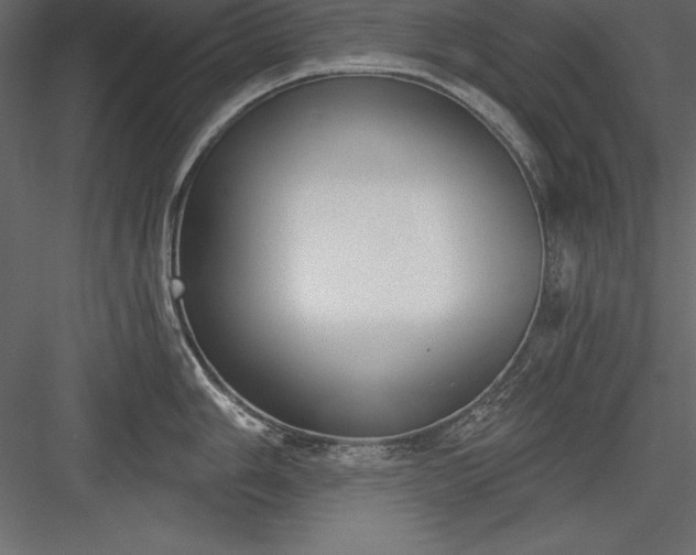 X0000083991006200702232106