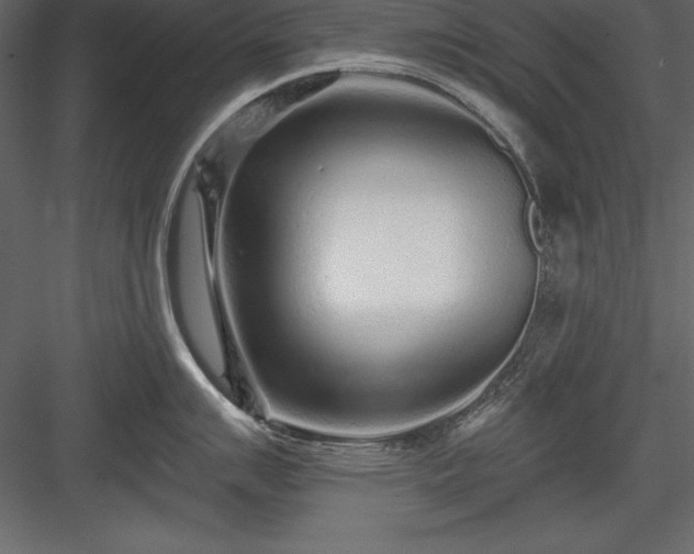 X0000083991007200702232106