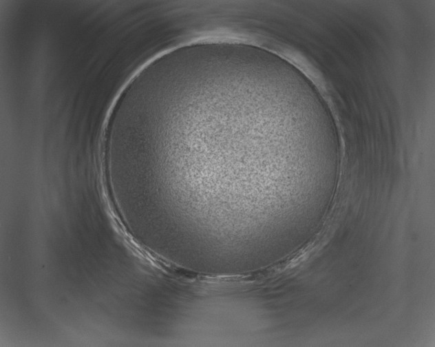 X0000083991008200702232106