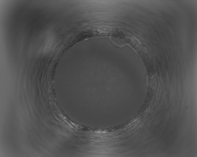 X0000083991009200702232105