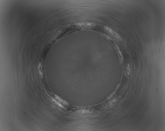 X0000083991010200702232105