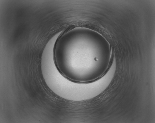 X0000083991012200702232105