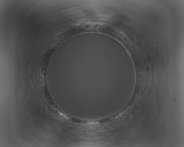 X0000083991013200702232105