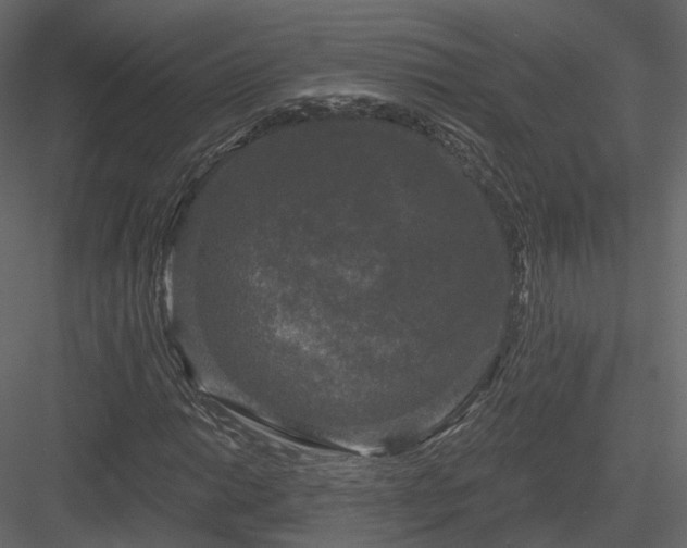 X0000083991014200702232105