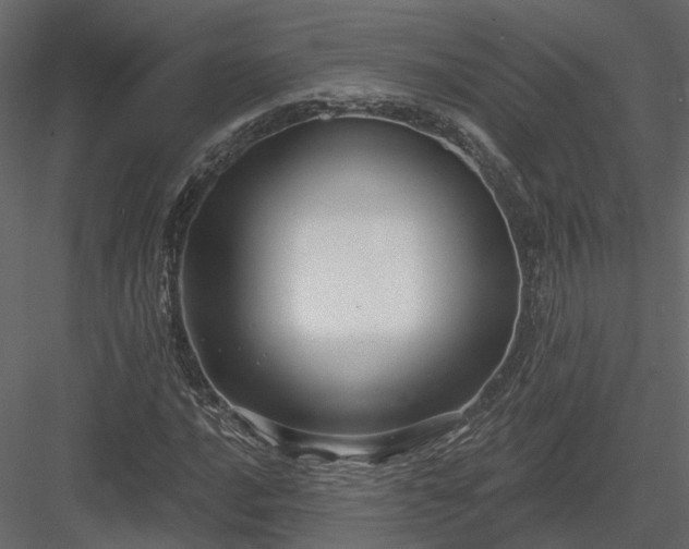 X0000083991016200702232105