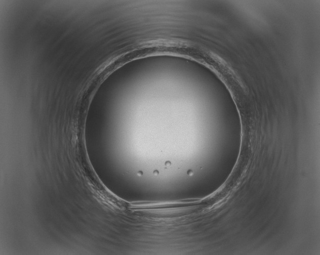 X0000083991017200702232105