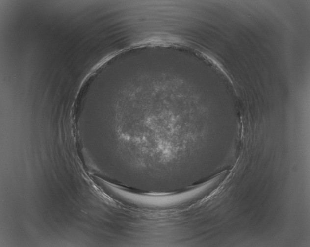 X0000083991018200702232105