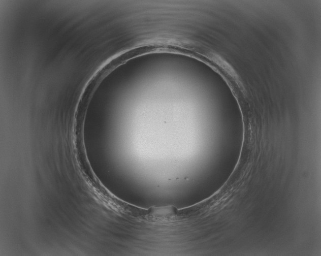 X0000083991020200702232105