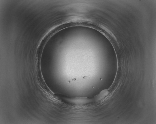 X0000083991021200702232105