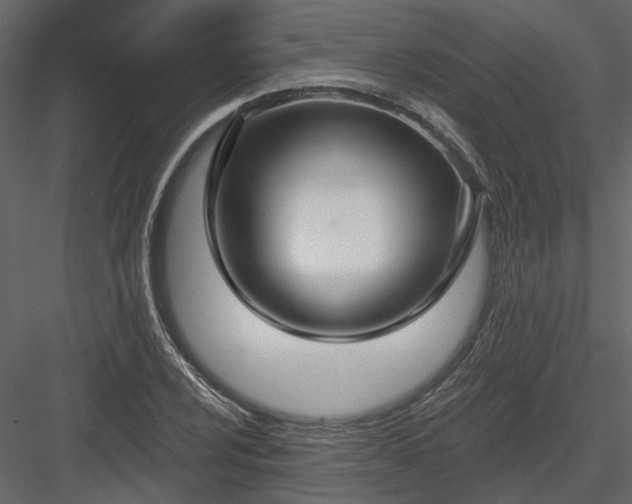 X0000083991024200702232105