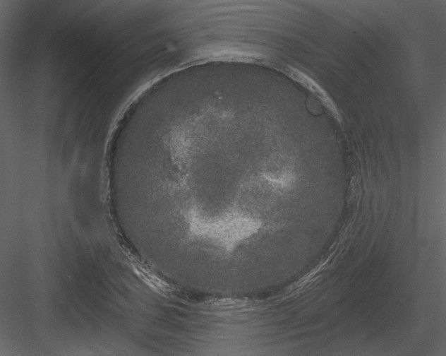 X0000083991027200702232105