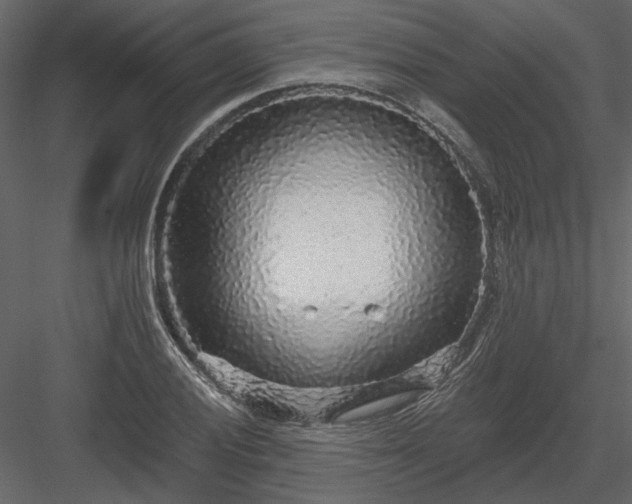 X0000083991028200702232105