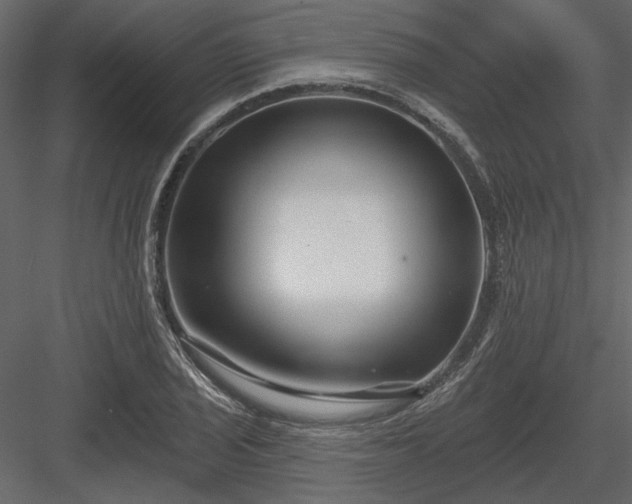 X0000083991029200702232105