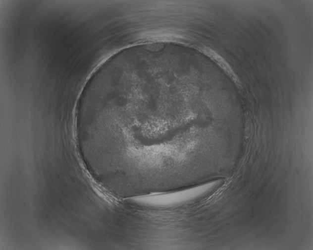 X0000083991031200702232105