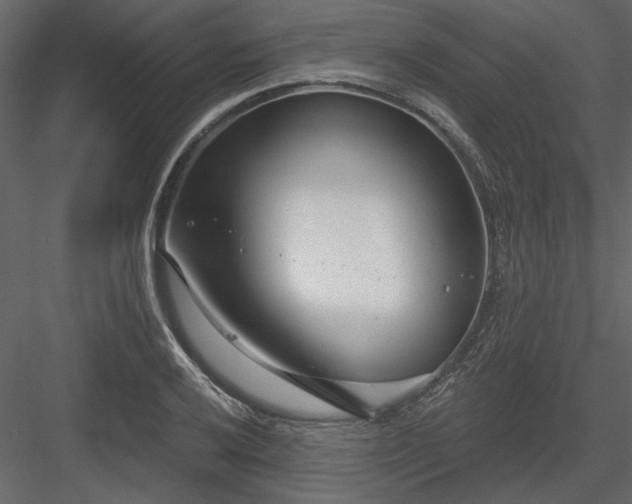 X0000083991032200702232106