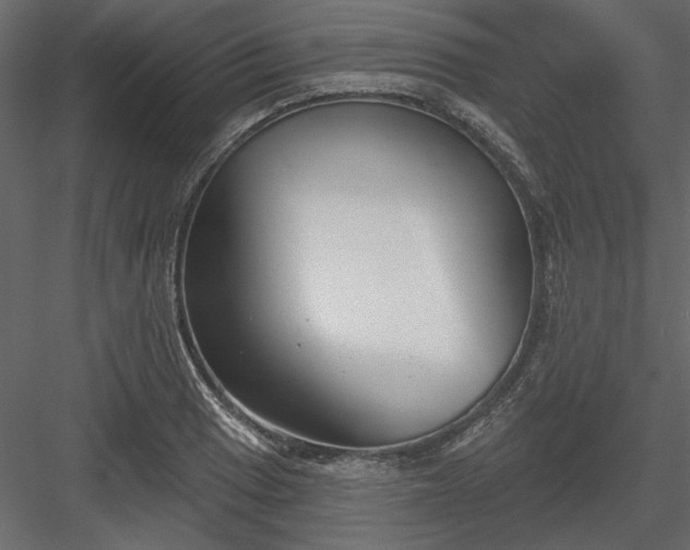 X0000083991033200702232106