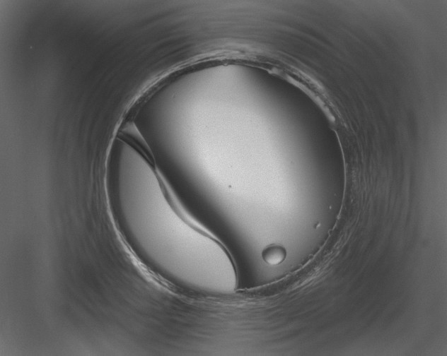 X0000083991034200702232106