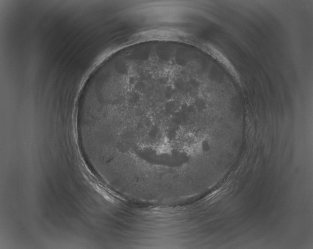 X0000083991035200702232106