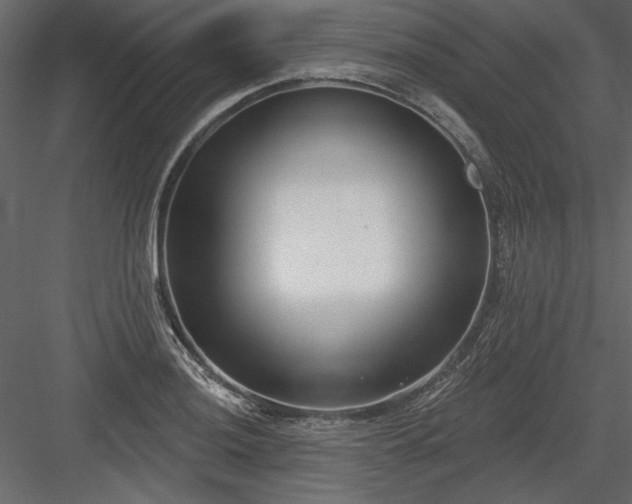 X0000083991036200702232106