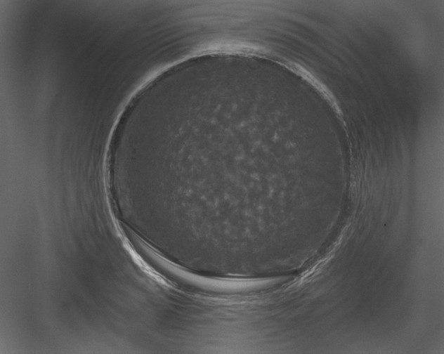 X0000083991037200702232106