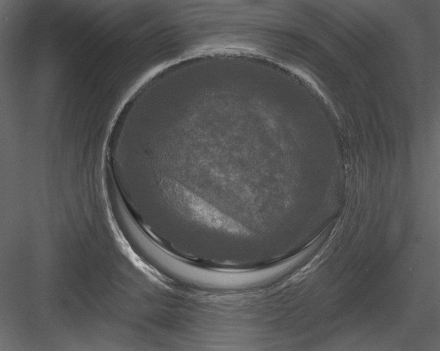 X0000083991038200702232106