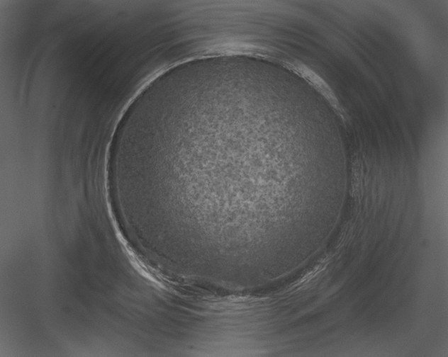 X0000083991039200702232106