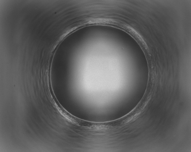 X0000083991041200702232106