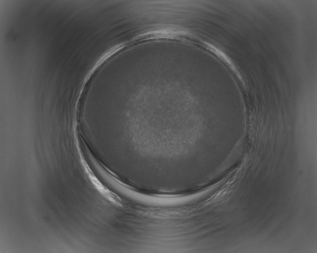 X0000083991042200702232106