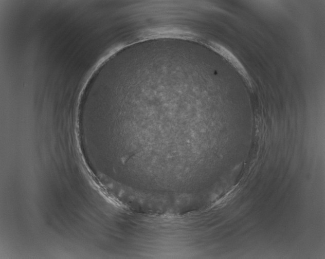 X0000083991043200702232106