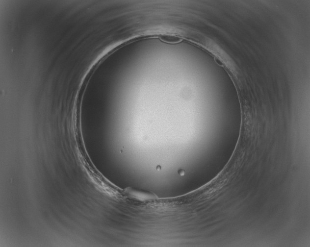 X0000083991044200702232106