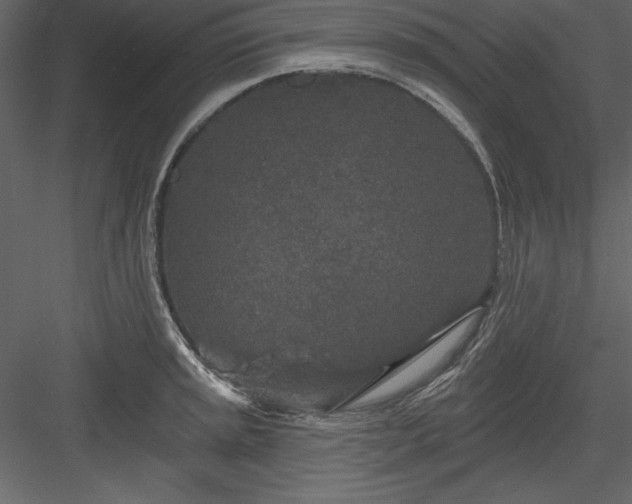 X0000083991045200702232106