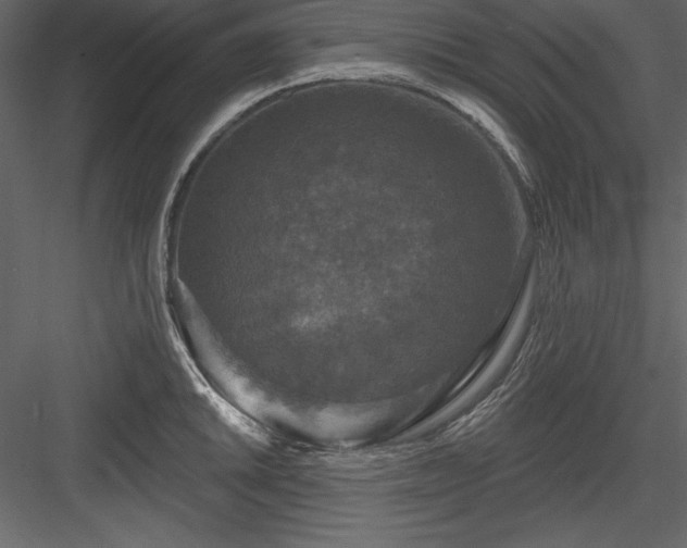 X0000083991046200702232106