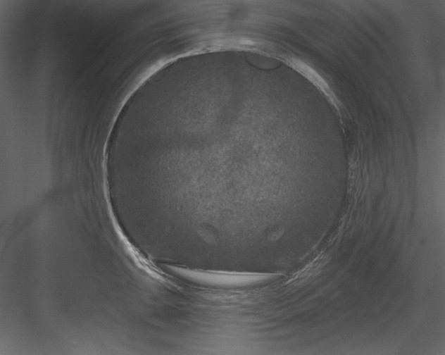 X0000083991047200702232106