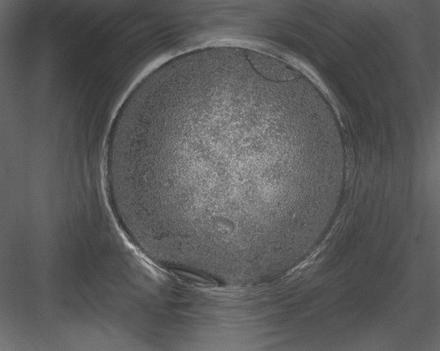 X0000083991048200702232106