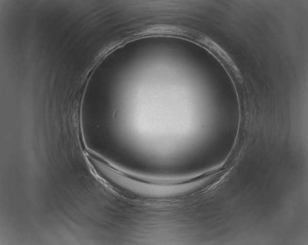 X0000083991049200702232106