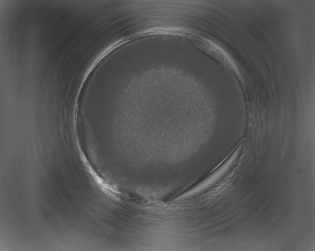 X0000083991050200702232106