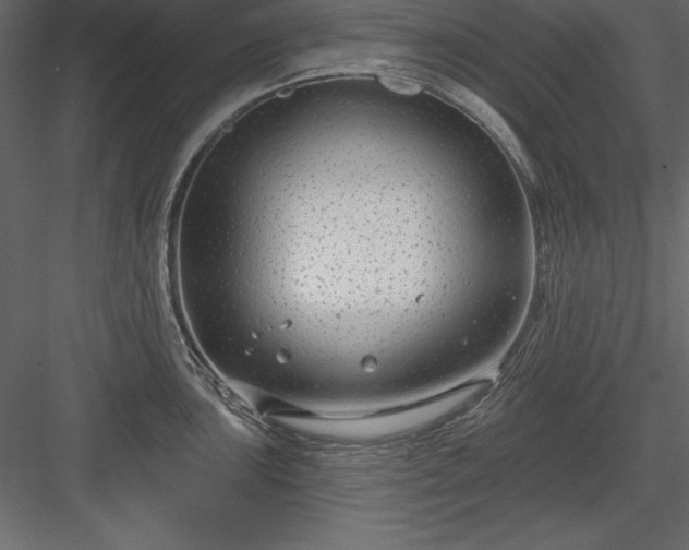 X0000083991051200702232106