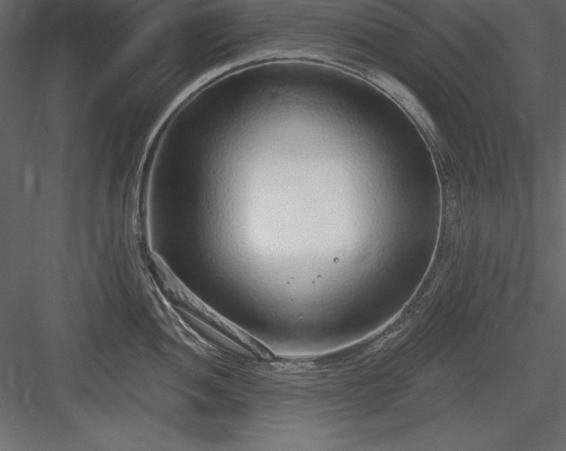 X0000083991052200702232106