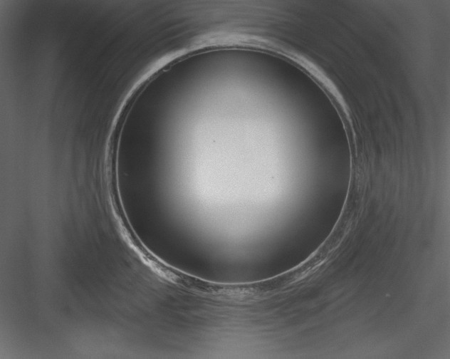 X0000083991053200702232106