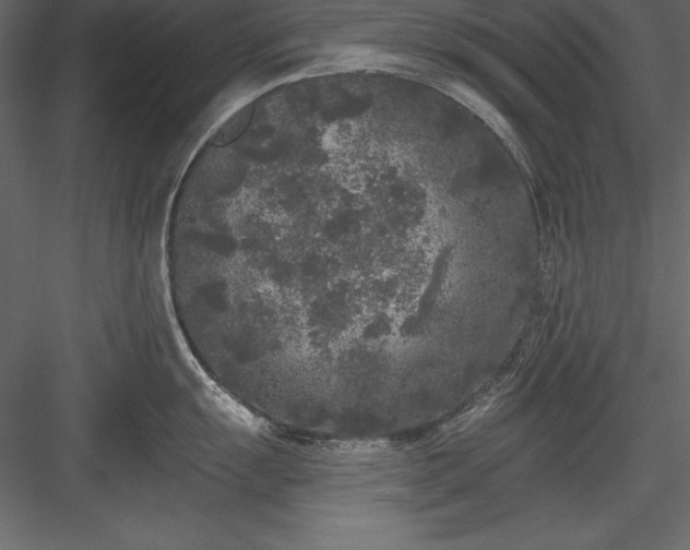 X0000083991055200702232106