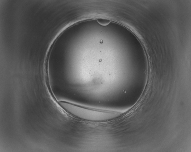 X0000083991056200702232106