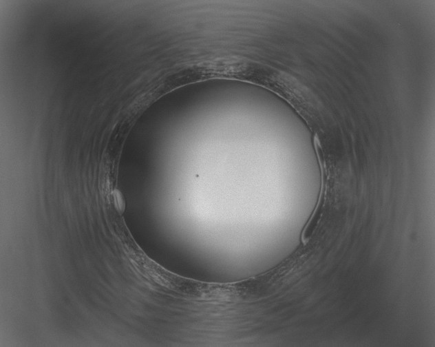 X0000083991058200702232105