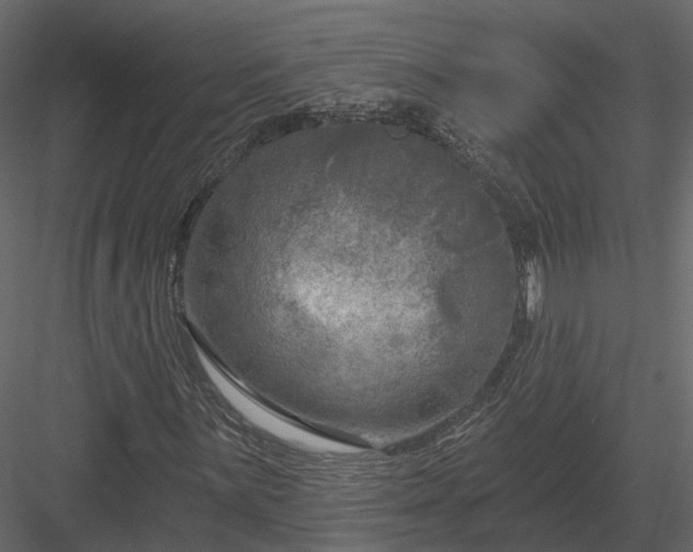 X0000083991059200702232105