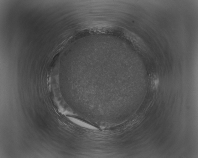 X0000083991060200702232105